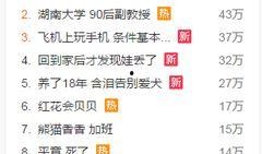 爆料新闻音乐有哪些,爆料新闻背后的精彩旋律