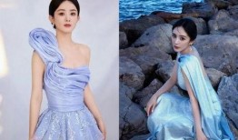 刘大锤最新爆料85花,85花明星幕后惊人真相