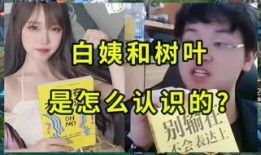 白姨爆料视频大全下载,揭秘幕后真相，带你走进事件核心