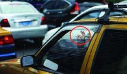 车窗抛物爆料视频下载,网友热议文明出行