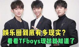 娱乐圈爆料真实案例,真实案例背后的惊人内幕