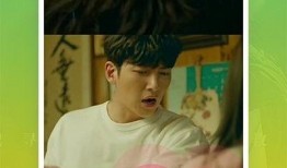 秃崽被爆料视频全集下载,揭秘事件真相与幕后黑幕