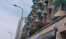 六零大院吃瓜日常免费阅读,揭秘吃瓜日常，免费畅读欢乐时光