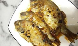 海鱼蚝油爆料方法视频,视频教你轻松掌握烹饪技巧