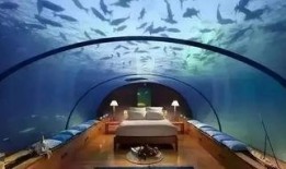 深坑酒店爆料视频播放,探秘神秘酒店背后的惊人真相