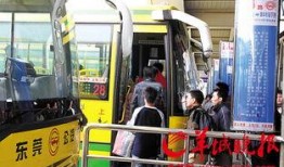 东莞刘先生最新爆料,最新爆料事件背后的惊人真相