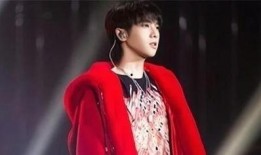 娱乐圈真实爆料华晨宇是谁,娱乐圈真实爆料，华晨宇身份大揭秘！