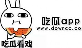 国产网红黑料吃瓜软件,吃瓜软件背后的真相与争议