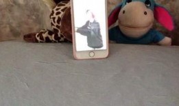 吃瓜娱乐音乐盒,一场听觉与视觉的盛宴