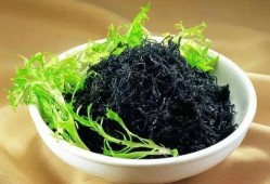 紫菜制作爆料视频教程,轻松学会家常美味紫菜料理