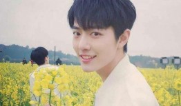 肖战老师爆料视频大全下载,揭秘幕后故事与精彩瞬间