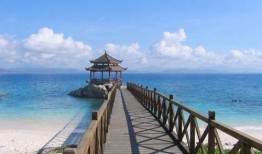 海南海边最新消息爆料,神秘海岛发现珍稀生物，旅游胜地再掀热潮