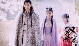 双世宠妃免费观看在线全集,穿越时空的甜蜜爱恋