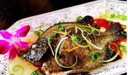 海鱼蚝油爆料方法视频,视频教你轻松掌握烹饪技巧