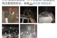 娱乐圈爆料流浪狗,流浪狗的明星梦之旅