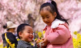 快乐树朋友在线观看,在线观看，欢乐无限亲子时光