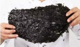 紫菜制作爆料视频教程,轻松学会家常美味紫菜料理