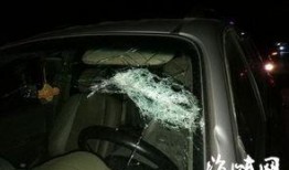 车窗抛物爆料视频下载,网友热议文明出行