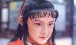 贾宝玉 在线观看,穿越时空的梦幻之旅