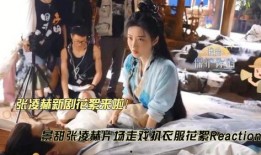 扒叔爆料张凌赫视频合集,张凌赫视频合集精彩瞬间大盘点