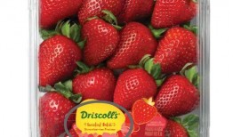 微笑爆料草莓视频下载安装,微笑爆料带你轻松上手