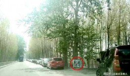 石家庄井陉今日爆料