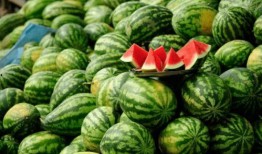 网红吃的瓜叫什么,揭秘那些让人欲罢不能的网红美食