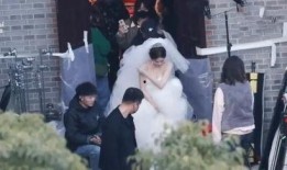 王鹤棣结婚爆料视频,甜蜜瞬间见证爱情升华