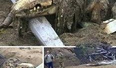 俄罗斯核怪兽爆料视频,独家爆料视频深度解析