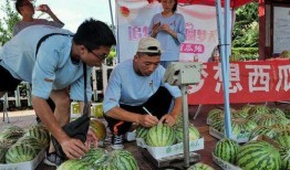 男摆摊网红吃瓜事件,揭秘网络舆论背后的真相