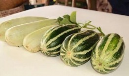 最新网红爆料吃瓜,娱乐圈最新吃瓜大事件，揭秘明星幕后真相！