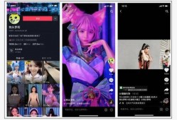 呆呆爆料视频在线观看,揭秘幕后真相，带你走进事件核心