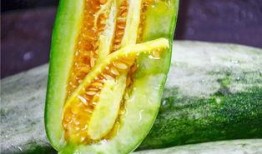 网红吃的瓜叫什么,揭秘那些让人欲罢不能的网红美食