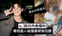 刘大锤爆料男歌手视频,男歌手神秘视频背后的故事