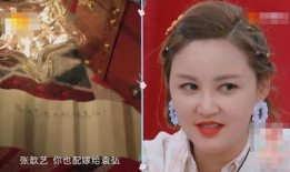 阙二姐前夫视频爆料,揭秘婚姻内幕与惊人真相