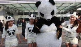 神秘熊猫人爆料视频大全,视频大全背后的惊人真相