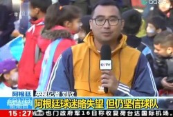 世界杯记者爆料新闻事件,惊天内幕事件震惊足坛