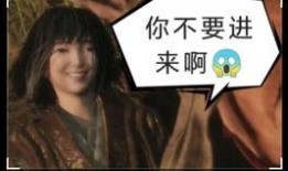 啊郎的故事在线观看,穿越时空的奇幻之旅