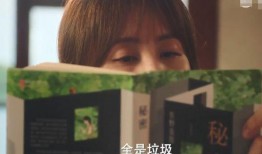 胡歌爆料孙莉视频,揭秘明星夫妻背后的故事