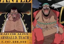 黑胡子最新爆料视频主页,海洋霸主动向全解析