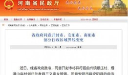 河南频道爆料新闻直播视频,揭秘最新爆料新闻背后的真相