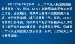 乐山最新爆料新闻,揭秘城市热点事件背后的真相