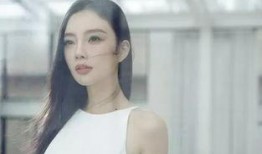 馨雅阿姨爆料事件视频,揭秘事件背后真相