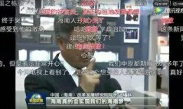 淮滨网友爆料新闻视频,惊现新闻视频，揭秘事件真相！