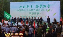 四川新闻马边现场爆料,现场直击，揭秘真相