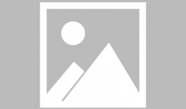 七日生在线观看,生死七日，命运交织的惊险之旅