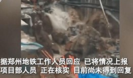 网友爆料塌方视频,惊险一幕！塌方现场视频曝光