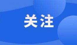 爆料死亡新闻视频下载,悲剧瞬间引发社会关注