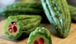 博雅g吃瓜免费,揭秘娱乐圈幕后故事，免费畅享娱乐盛宴