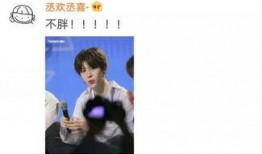 圈内八卦爆料范丞丞视频,娱乐圈再掀波澜